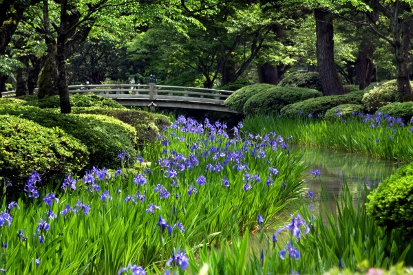 【金沢・梅雨】モデルコース 雨に風情増す庭園と穴場の屋内スポット巡る