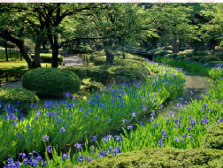 兼六園