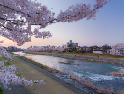 犀川大橋