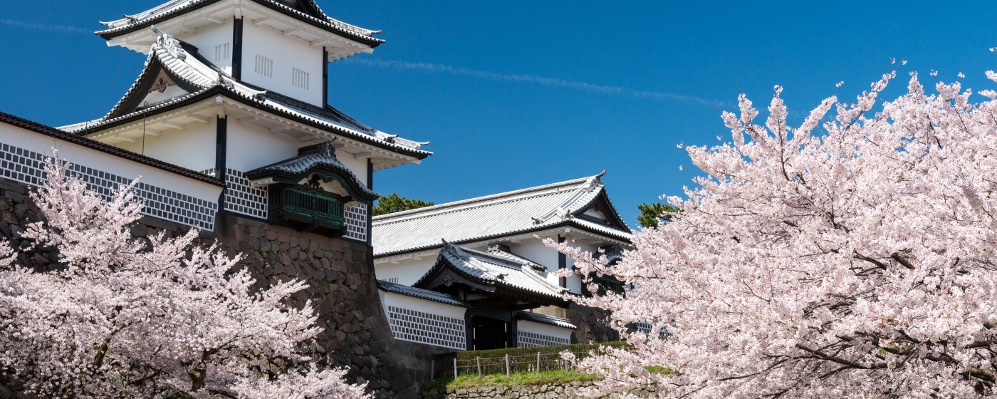 金沢の桜の名所5選 特集 公式 金沢の観光 旅行情報サイト 金沢旅物語