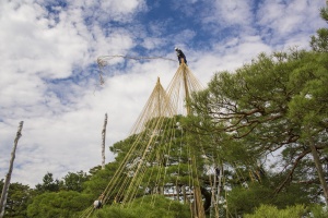 なぜ、多くの人が金沢に心惹かれるのか