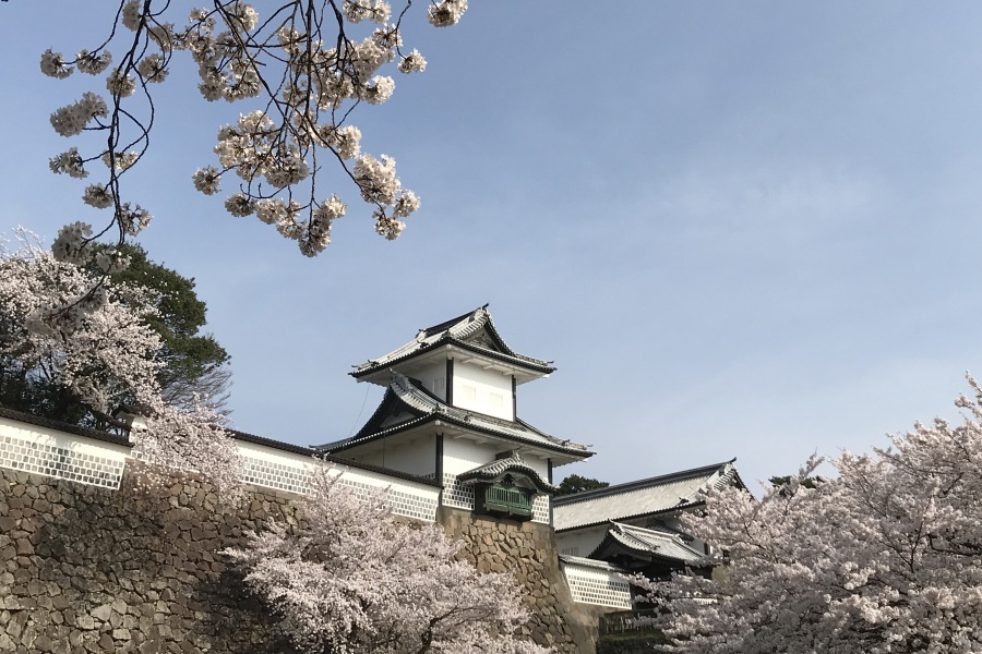 金沢の桜の名所5選 特集 公式 金沢の観光 旅行情報サイト 金沢旅物語