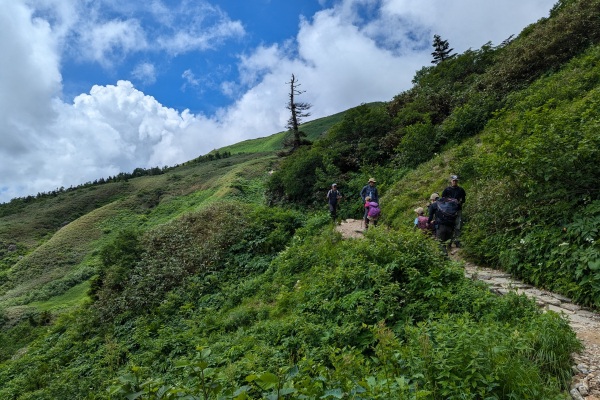 砂防新道(約5時間)
