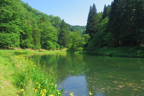 朝食前に玉泉湖の「氷室小屋」まで散策