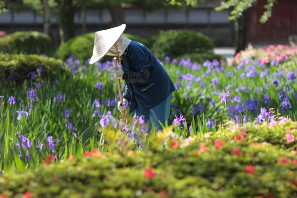 兼六園