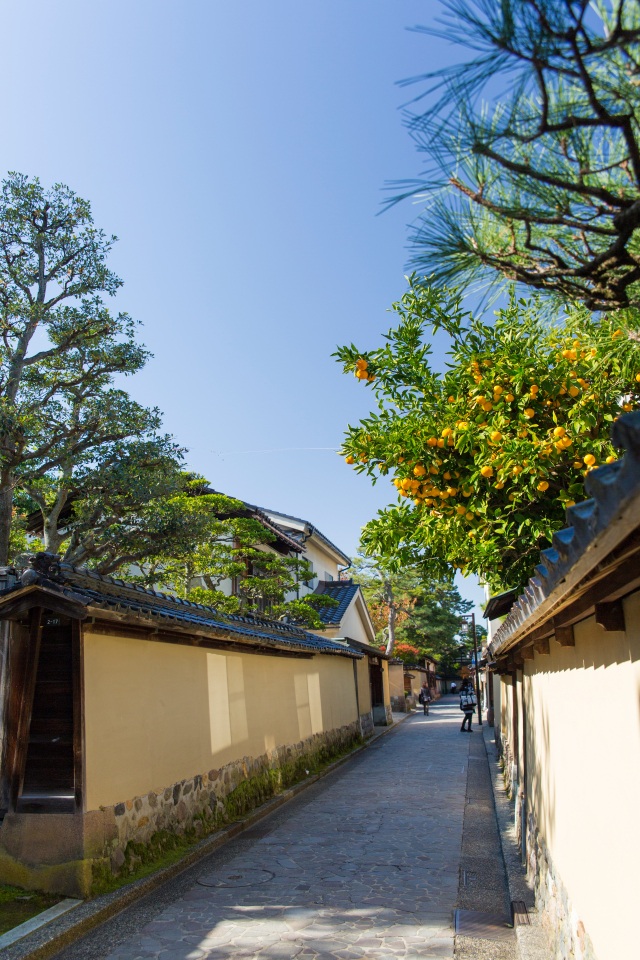 長町武家屋敷跡界隈6