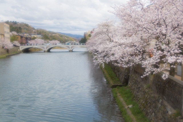 浅野川3