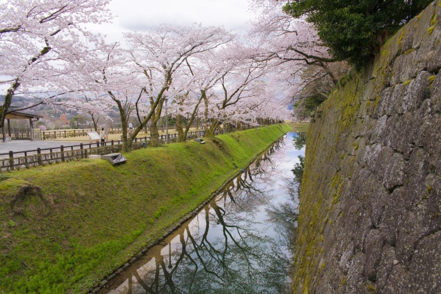 金沢城公園3