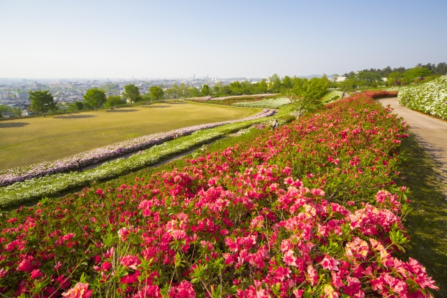 大乗寺丘陵公園1