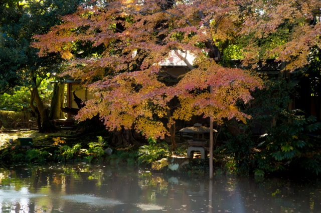 松風閣庭園2