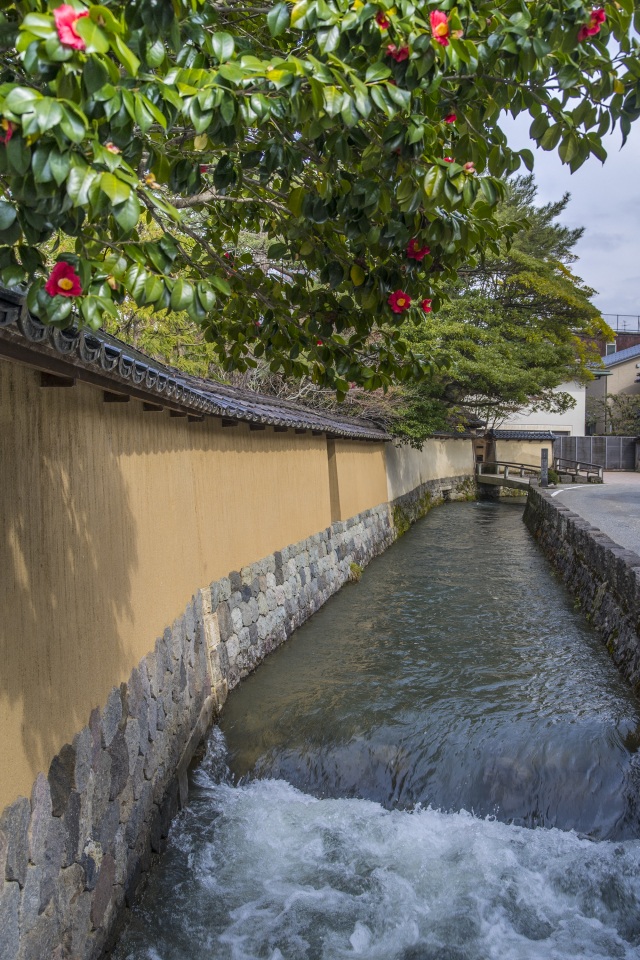 長町武家屋敷跡界隈20