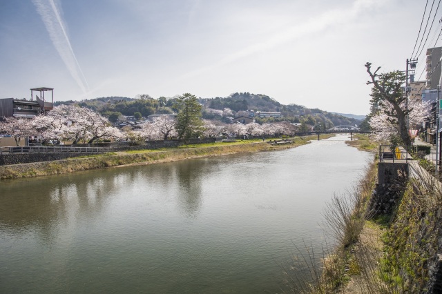浅野川4