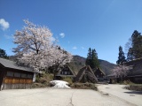 春の五箇山