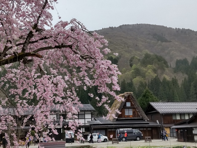 春の白川郷