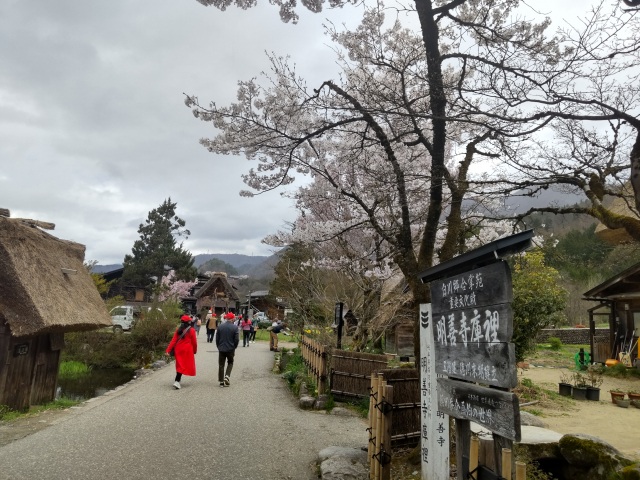 春の白川郷