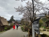 春の白川郷