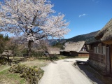 春の五箇山
