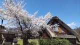 白川郷