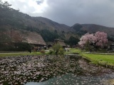 白川郷