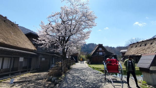 白川郷　荻町合掌造り集落