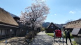 白川郷　荻町合掌造り集落