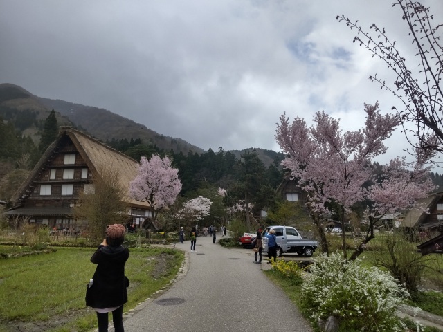 白川郷　荻町合掌造り集落