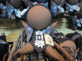 白川郷　変わったさるぼぼを探してみて！