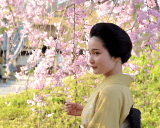 芸妓　七葉
