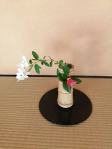 季節のお花の拝見