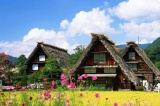 白川郷　夏