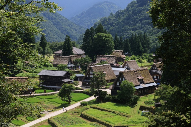 五箇山　夏