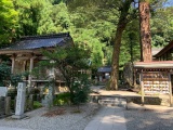金釼宮