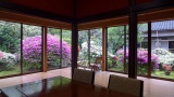 お寺からの眺望