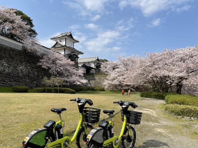 桜とサイクリング１