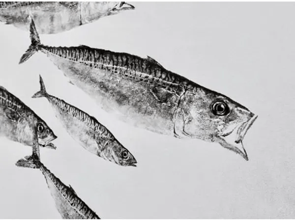 魚拓