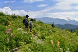 白山高山植物園