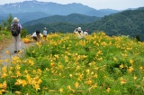白山高山植物園　©白山市観光連盟