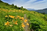 白山高山植物園