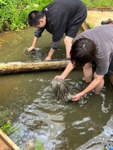 田んぼで絞り染め