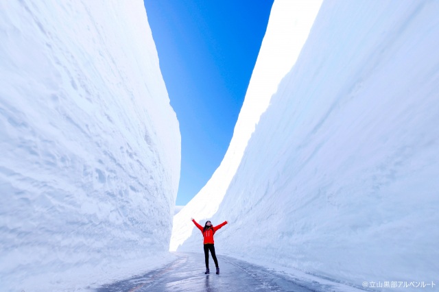 雪の大谷