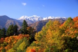 白山白川郷ホワイトロード　紅葉と冠雪の白山連邦