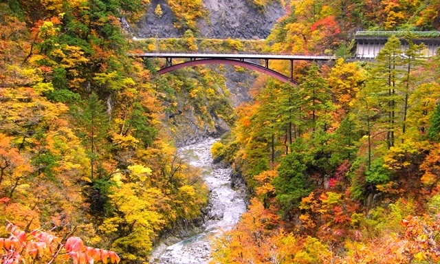 白山白川郷ホワイトロード　紅葉と蛇谷大橋