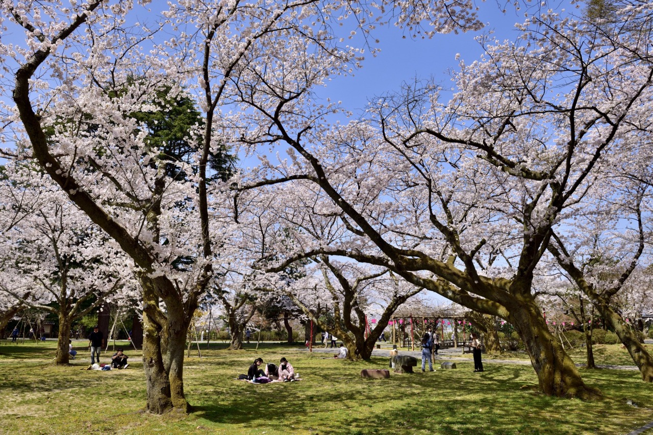 小丸山城址公園※イメージ　ⓒ石川県観光連盟