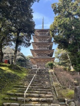 妙成寺※イメージ
