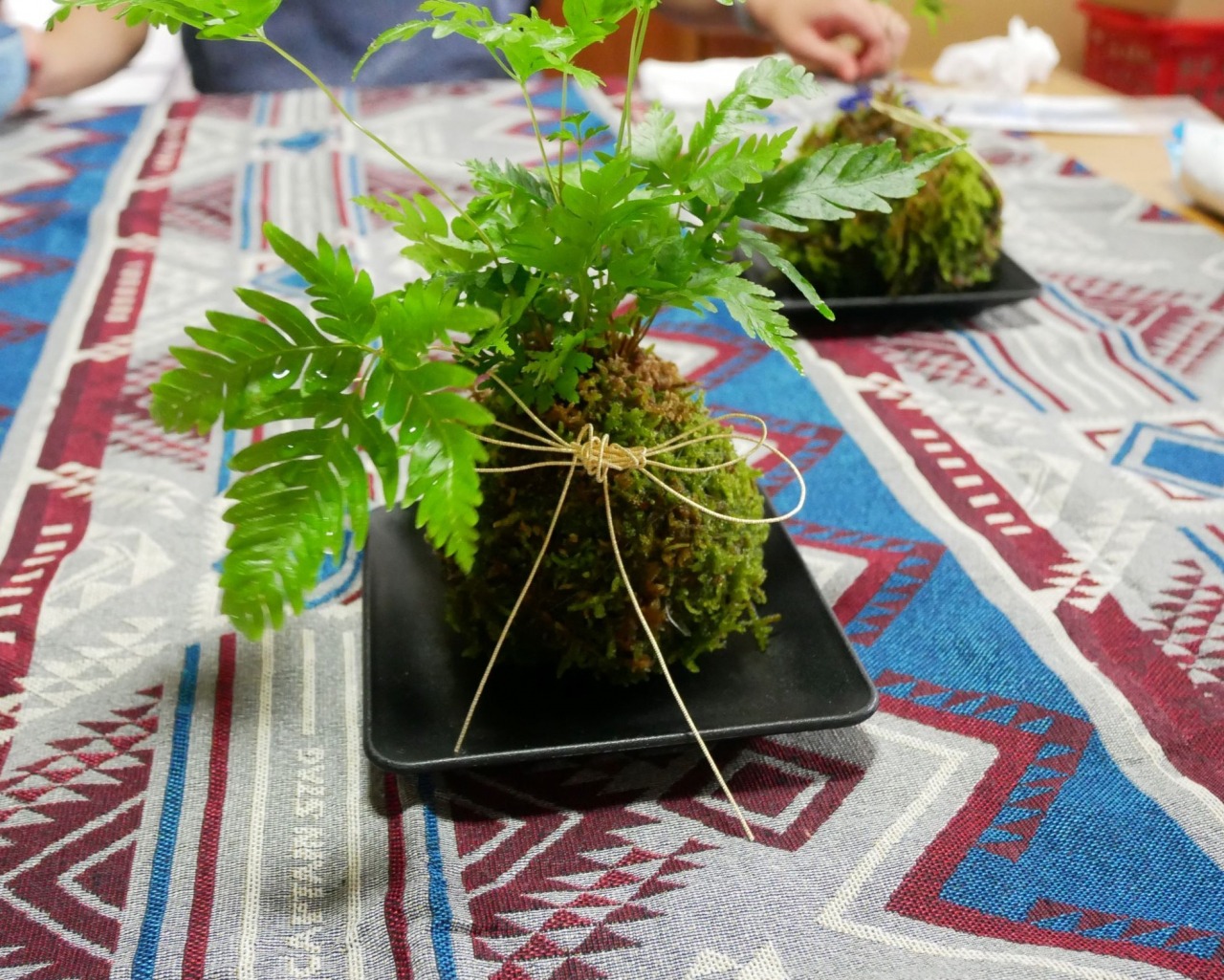 出来上がった魅力的な苔玉