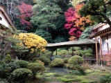 県名勝指定 光久寺の茶庭(フリータイム)