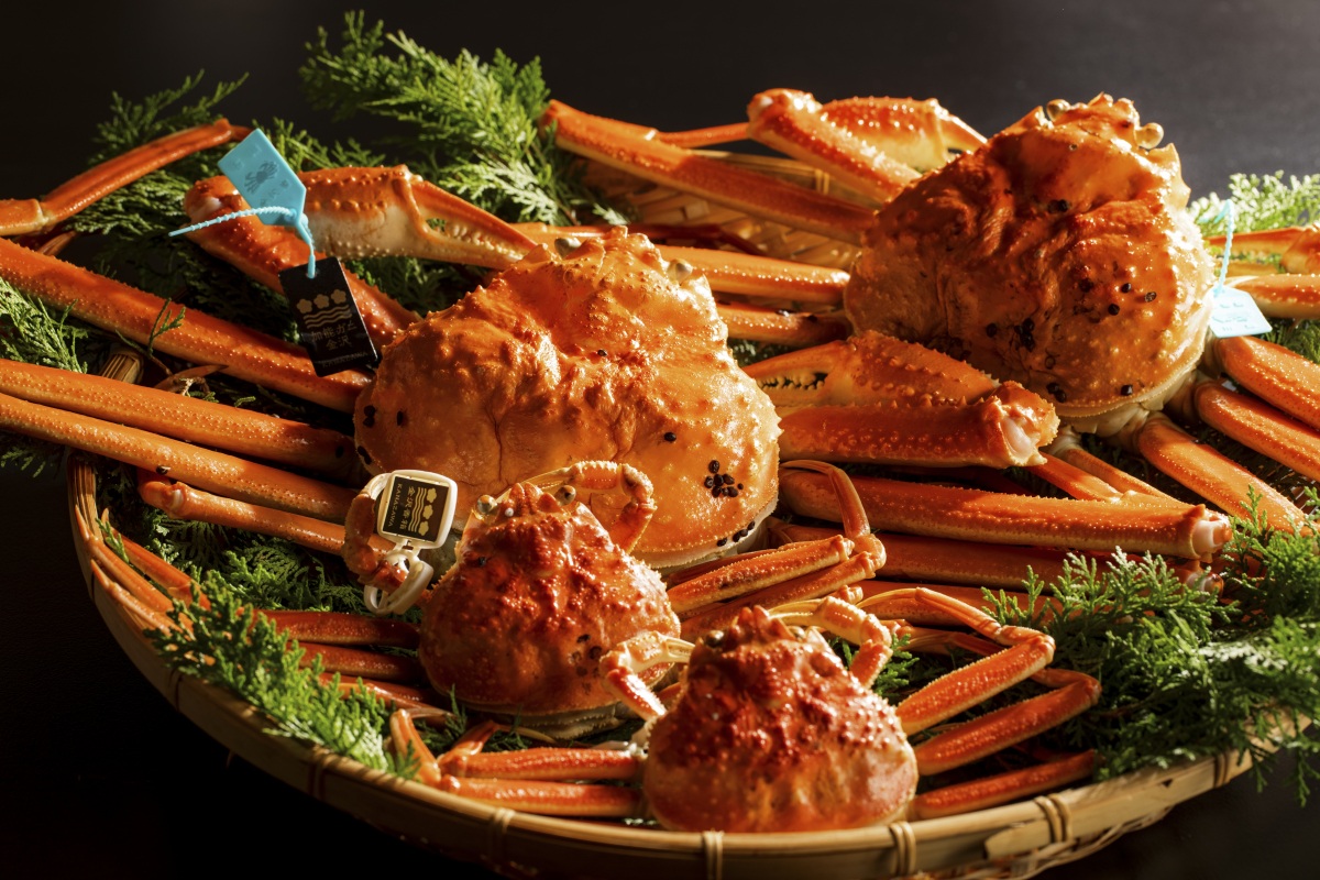 【最新版】金沢の旬のカニをおいしく食べられるお店