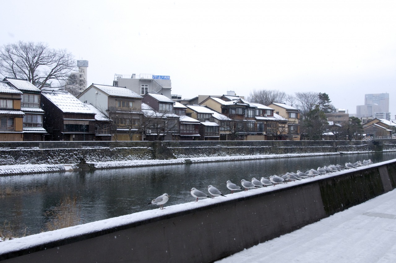 雪の浅野川と主計町茶屋街
