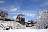 雪景色とのコントラストも美しい