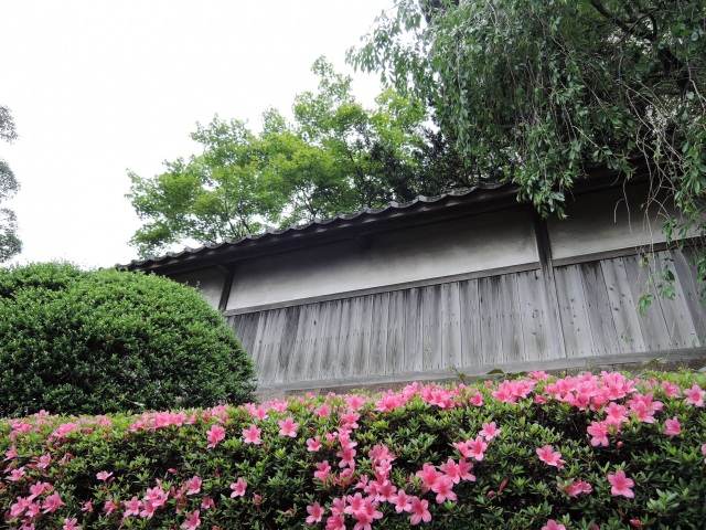 奥村家の土塀と辰巳用水